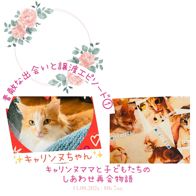 キャリンヌママと子どもたちのしあわせ再会物語