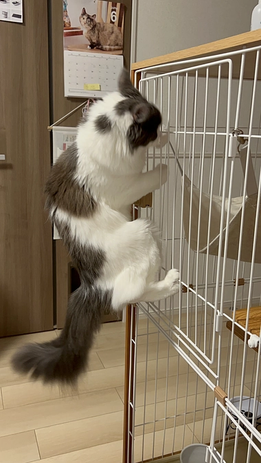 経過観察期間49日目👀