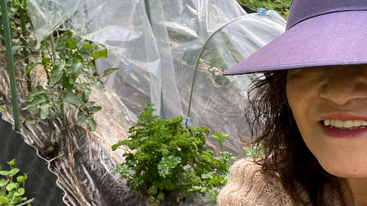 活動報告レーポト