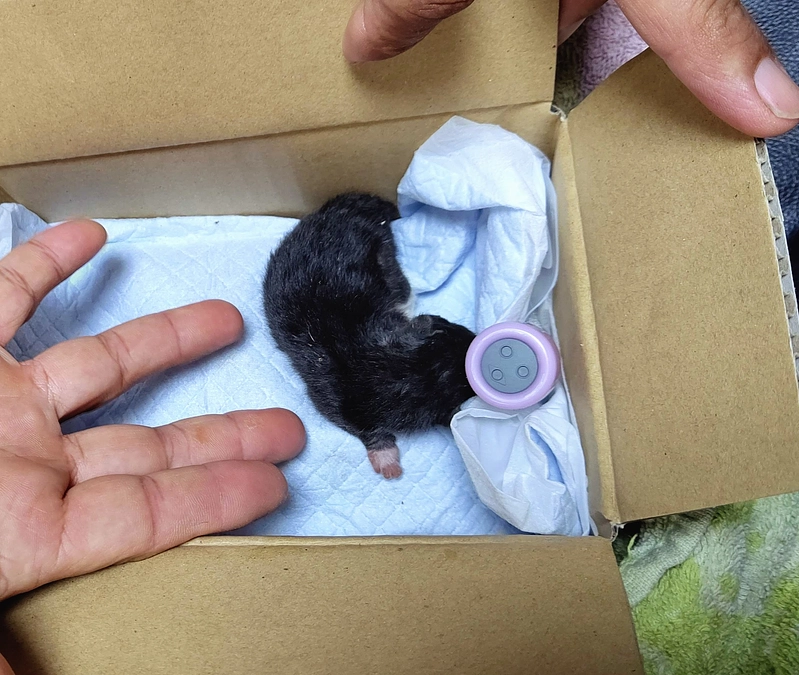 本日最終日となりました。支援募集は23時までです！