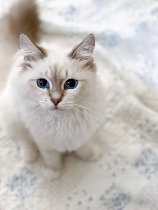 【順調だった経過観察が不安に…】