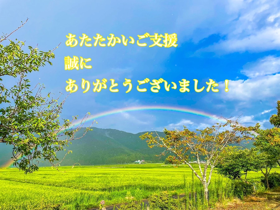 【御礼と近況報告】