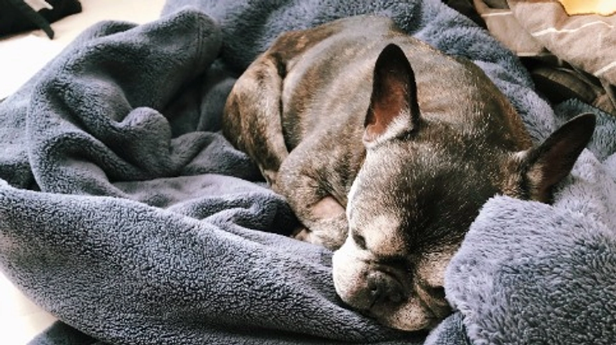 別のガンが見つかってしまいました