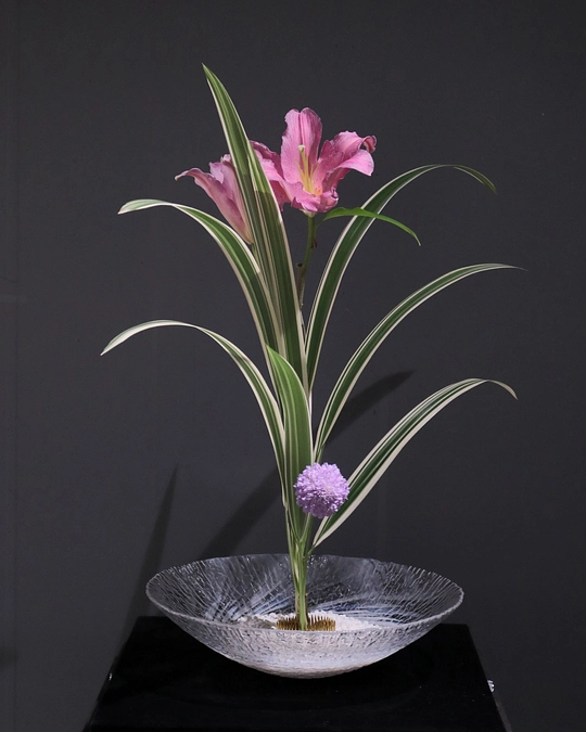 エントリーナンバーA03