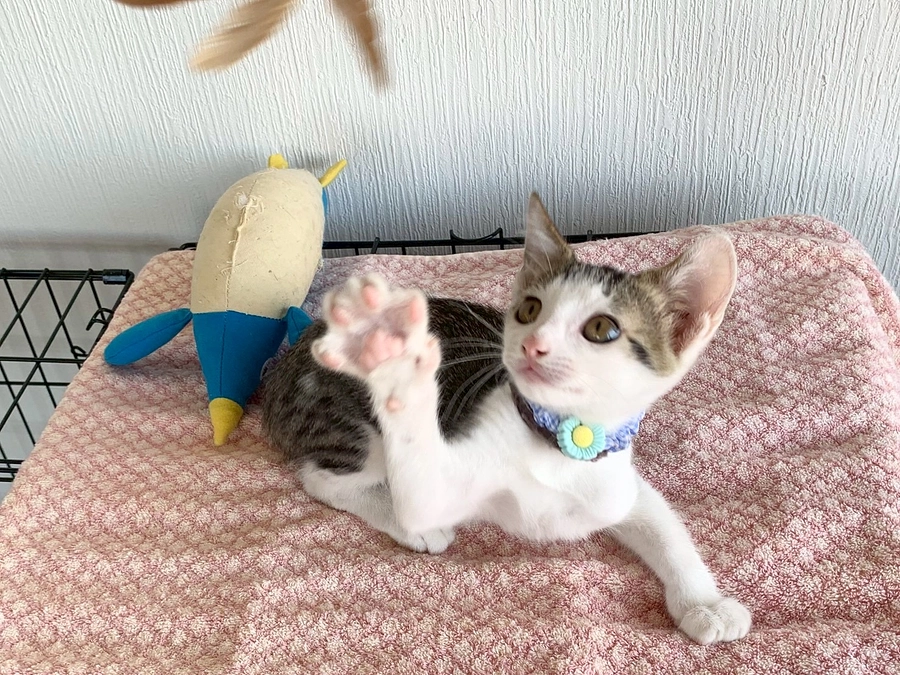 私って修理中？