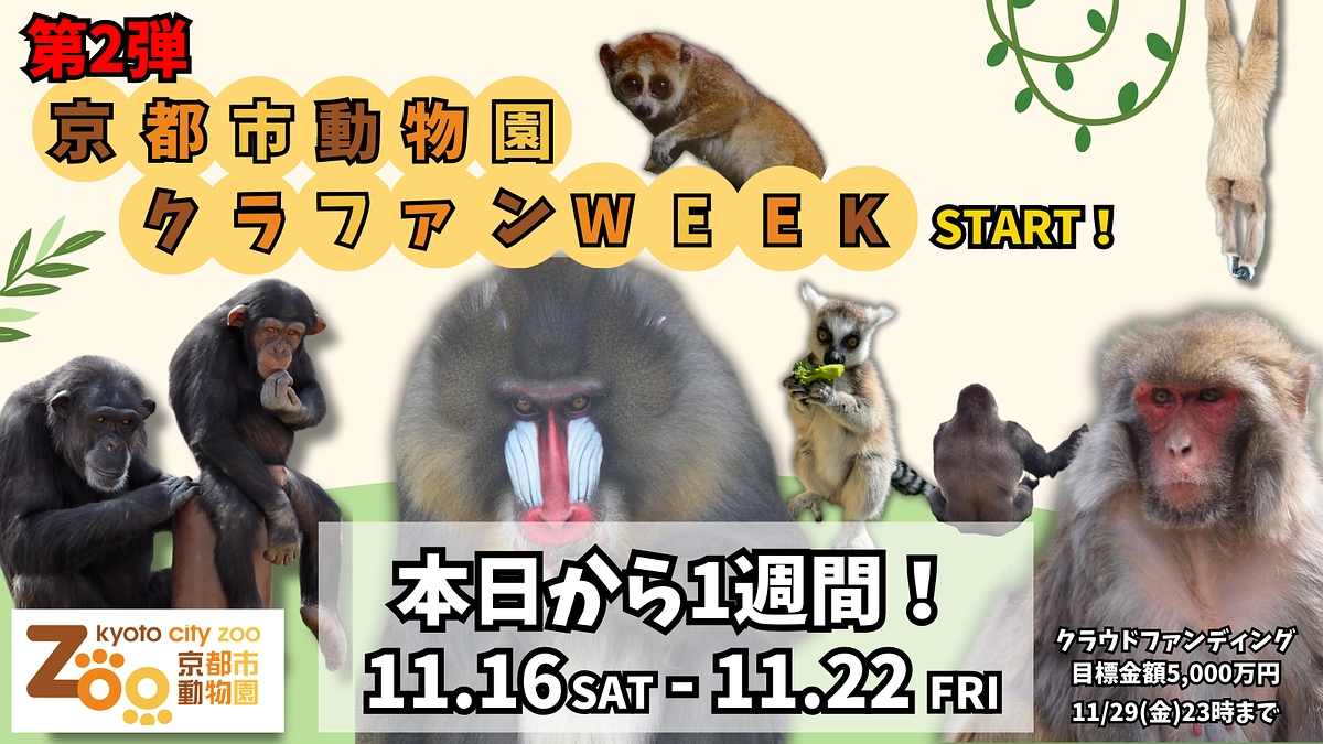 【スタートしました！】第2弾 クラファンWEEK