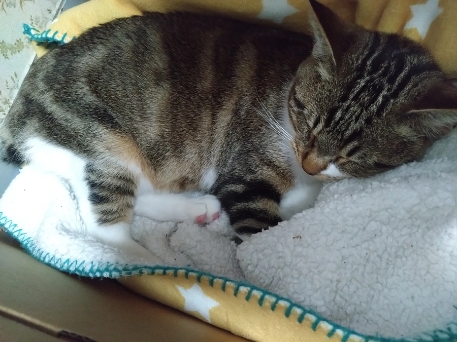 【ついに残り60時間を切りました！現在の達成率：57％です】