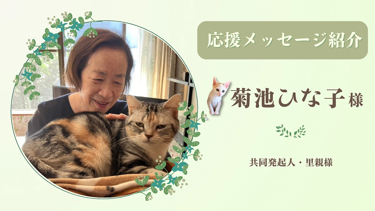 【あと10分！】保護猫カフェ花音の原点。お寄せいただいた応援のメッセージ（菊池ひな子様・共同発起人）