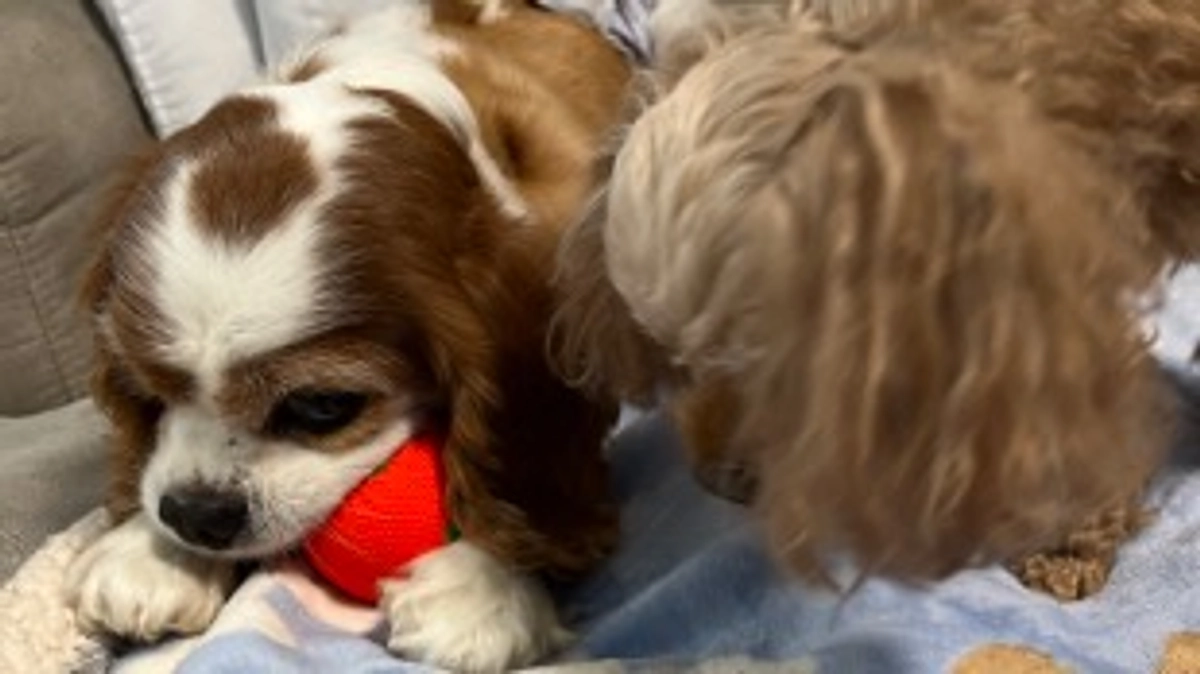退院9日目。今日も穏やかに過ごせてます☺️