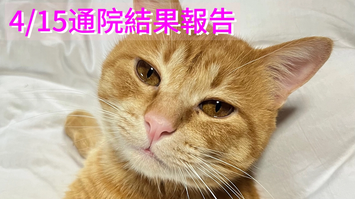 4/15通院結果報告
