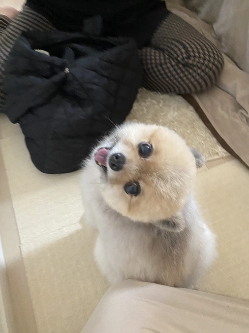 嬉しそうなつばき