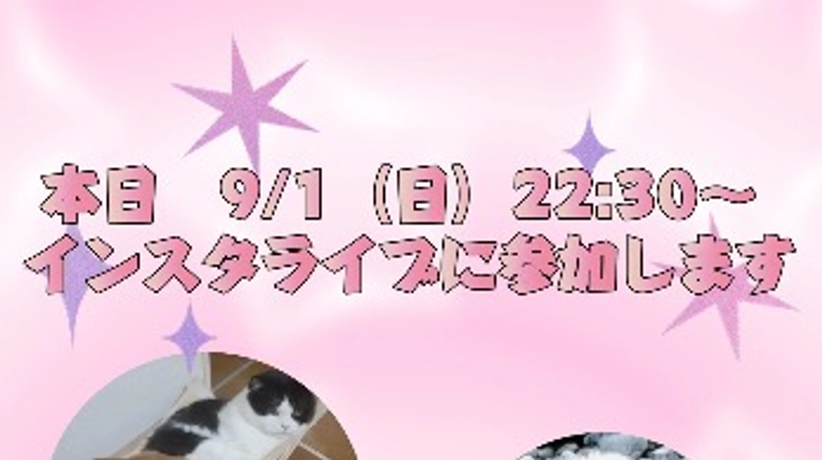 本日、インスタライブに参加します