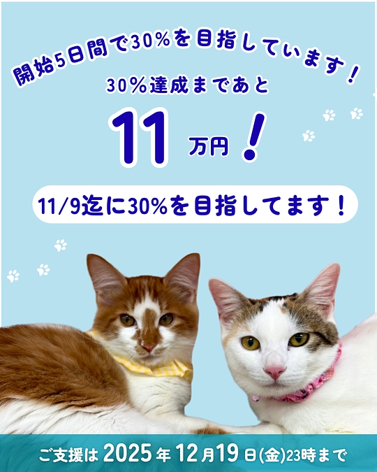 皆様からのお力添えを、何卒お願いいたします🙇‍♀️