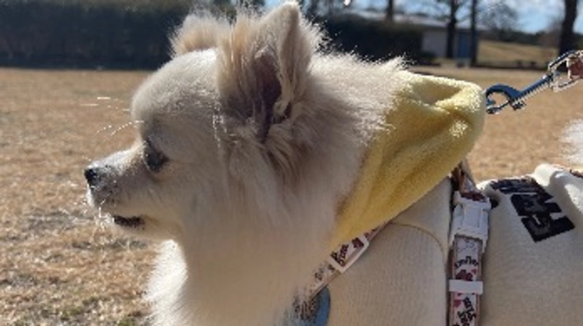 Instagramについてのご報告🍀