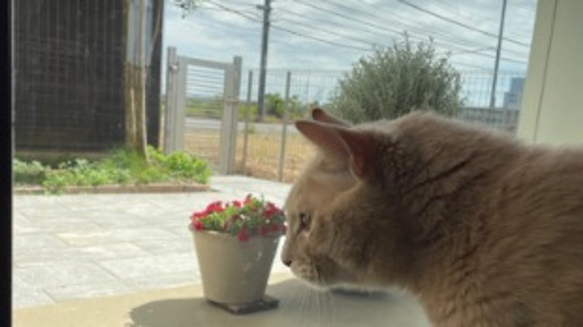 【クラファン活動報告⑬】応援コメントのご紹介