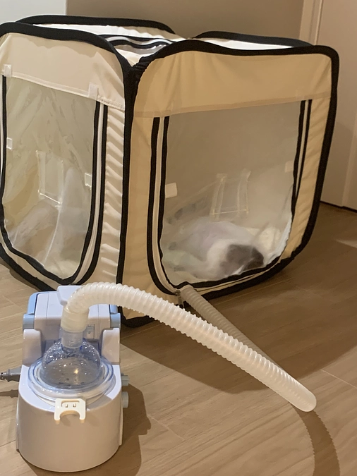 病院に行ってきました🏥