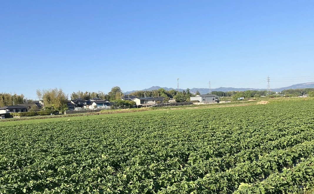 大塚を応援一万円コース