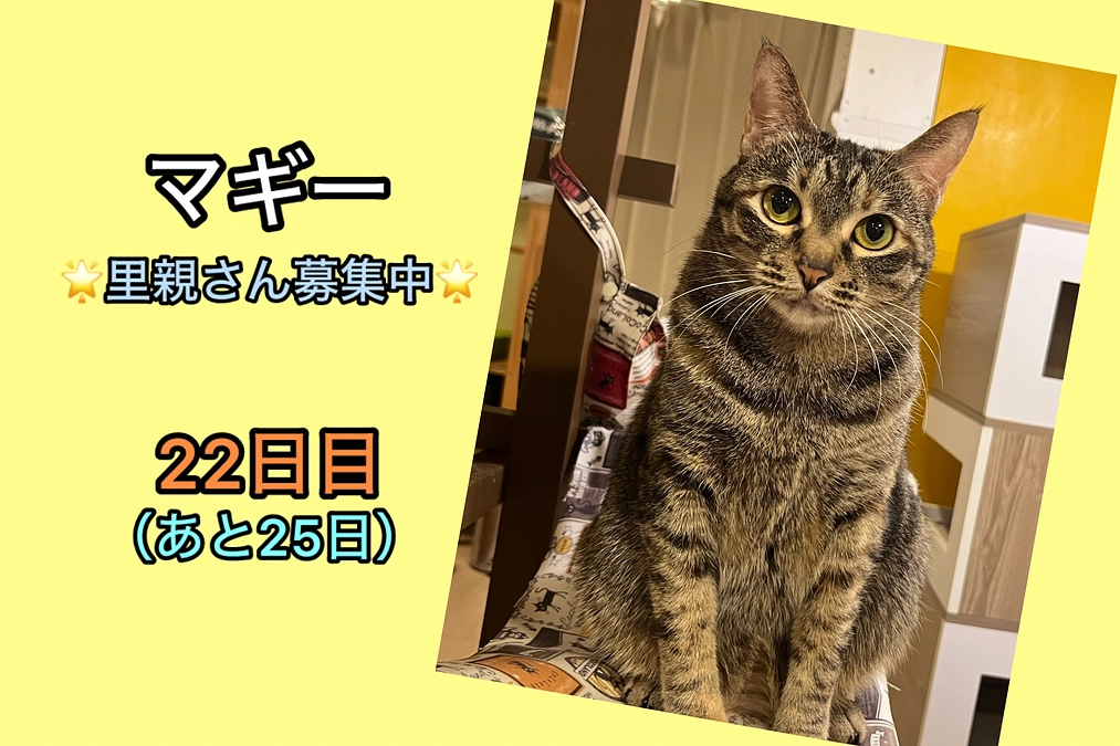 頑張る方を応援したい、お手伝いしたい。（3/6  22日目）