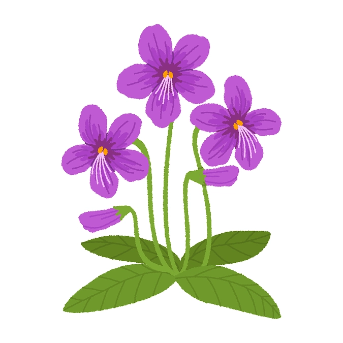 【新企画スタート！】 甲府駅北口に「香り当てクイズ」登場