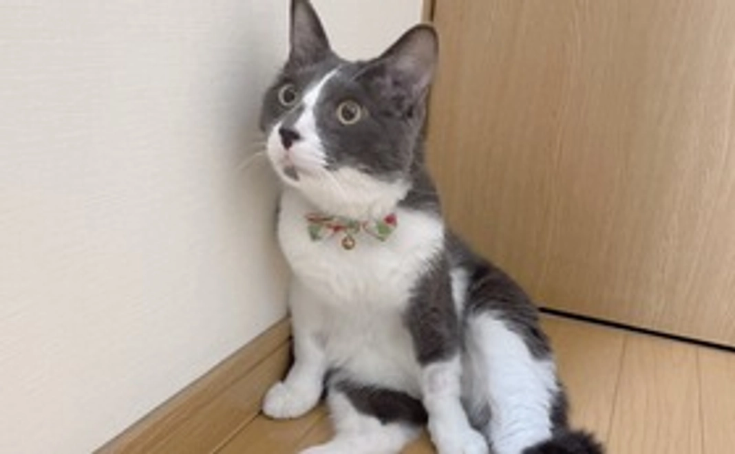 ココさんのお写真付きメール(500円コース)