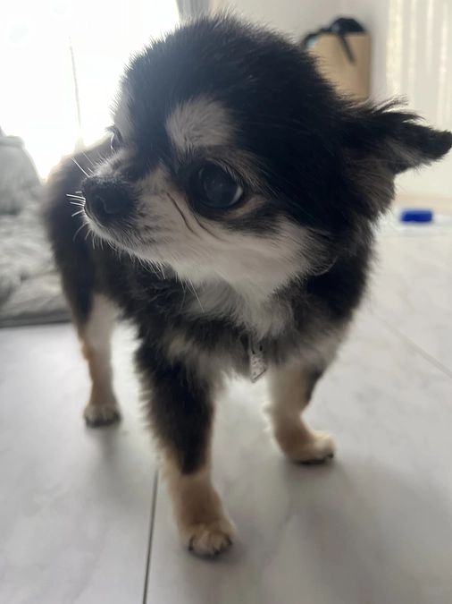 本日よりプロジェクト開始しました。