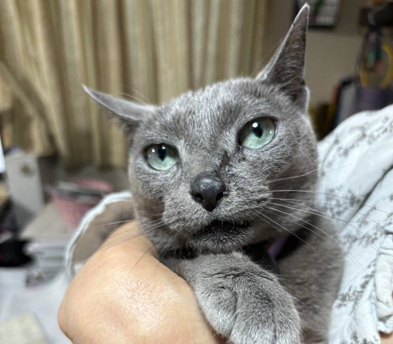 14回目の放射線治療が終わりました。