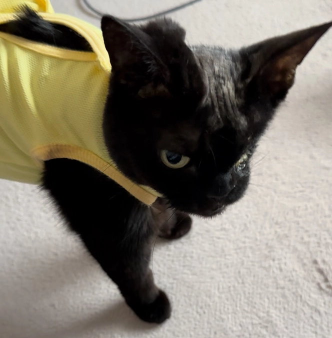 細菌培養検査結果を確認してきました。