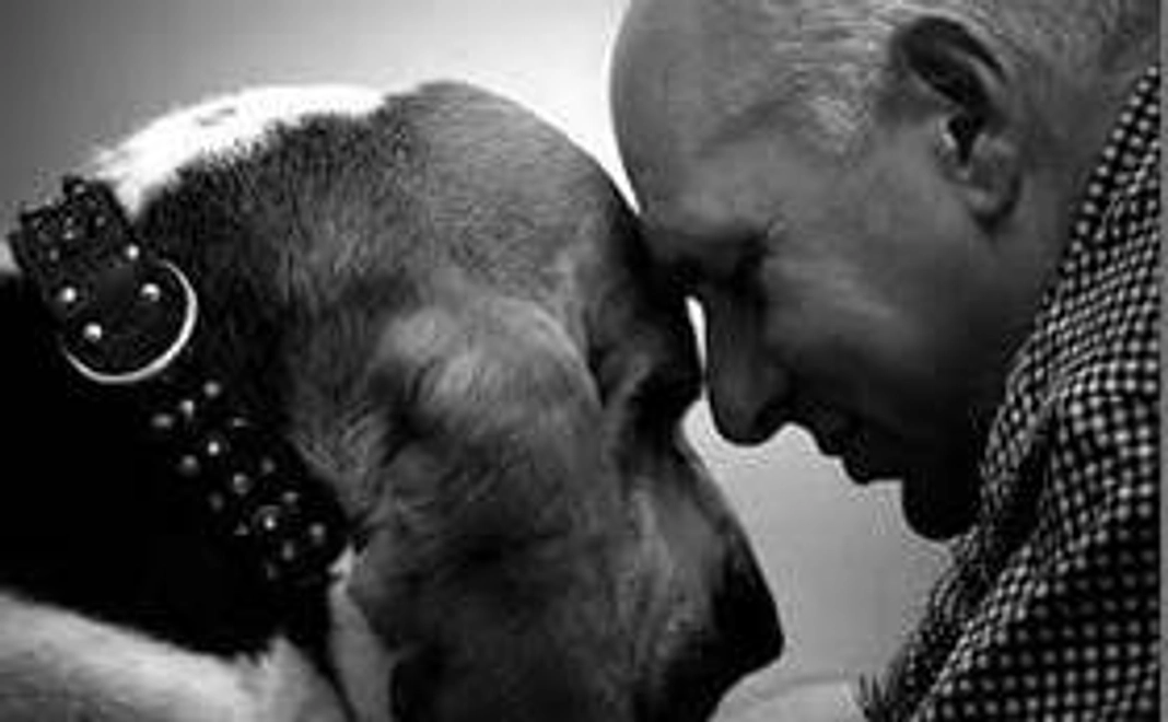 お礼の気持ちをお送りします！