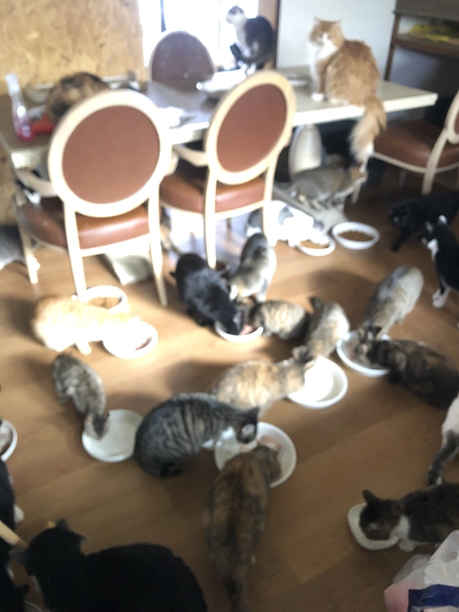 明けましておめでとう御座います。昨年も一年有難うございました。