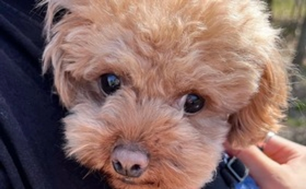 ご支援ありがとうございます ②