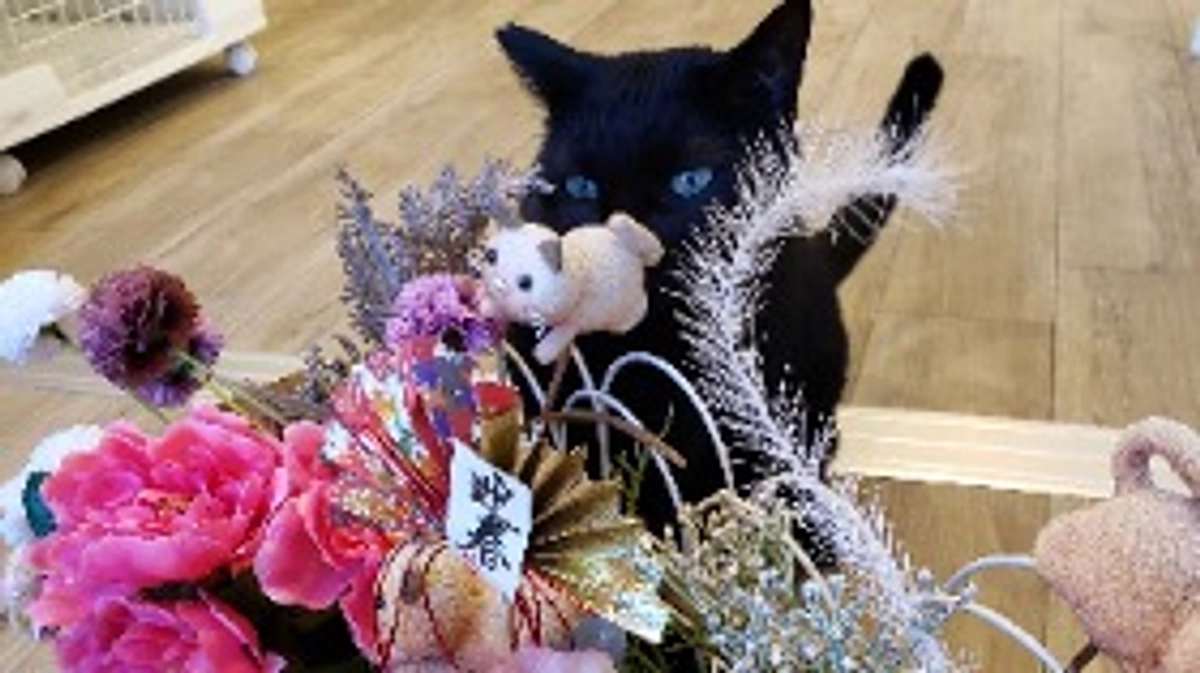 『謹賀新年』2025