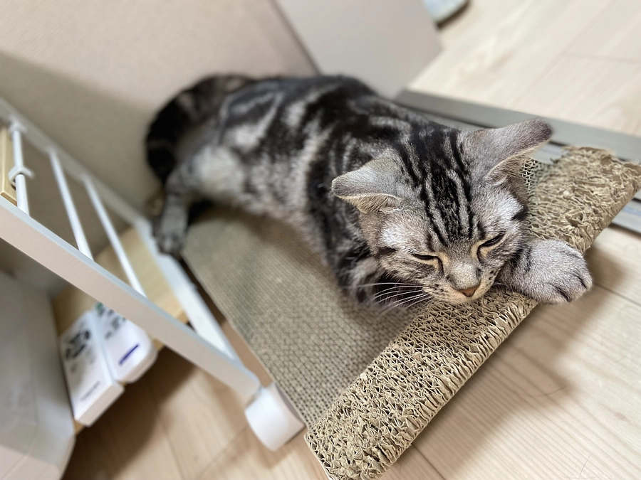 2023.5.6⭐️ #闘病生活 18日目⭐️