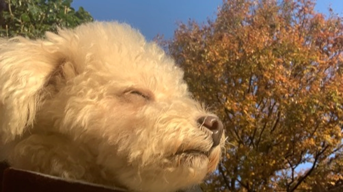 プロジェクトがスタートし、1週間が経ちました