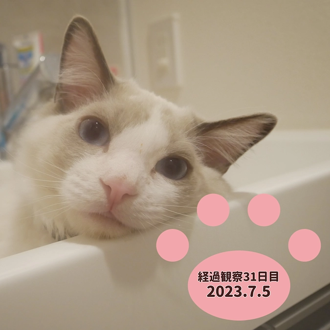 経過観察31日目(2023.7.5)