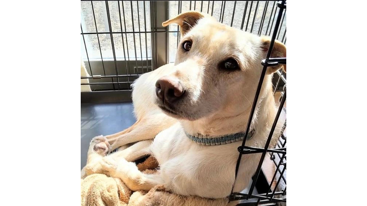 レーベンっ子のご紹介④保育の原点はママ「良」（よき）