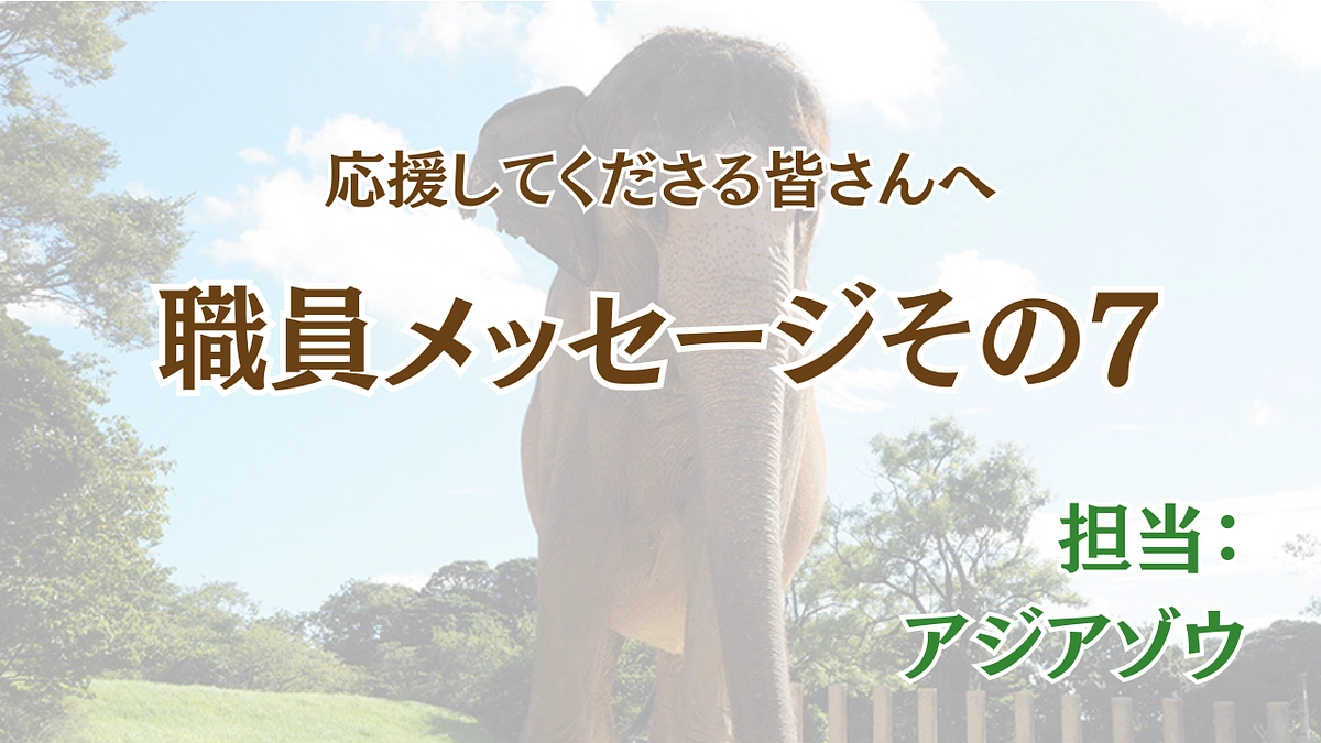 未来へ紡ぐゴリラプロジェクト〜職員から皆様へのメッセージ⑦〜