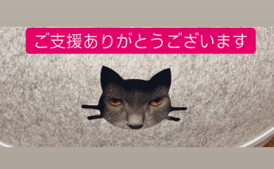 ごんを助けてくださる10000円・感謝のメール・写真・動画を受け取って下さる方はこちら