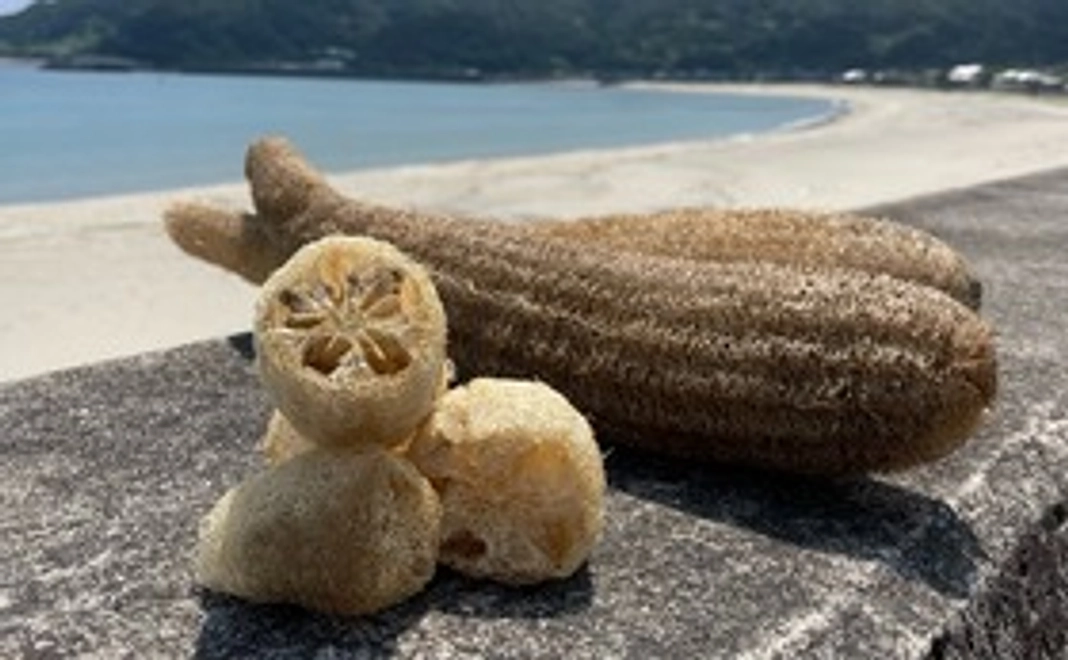 【下甑島産ヘチマ使用】食器洗い用ヘチマスポンジ