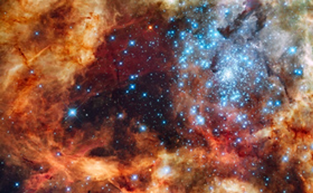 ポストカードと書籍をお届け!