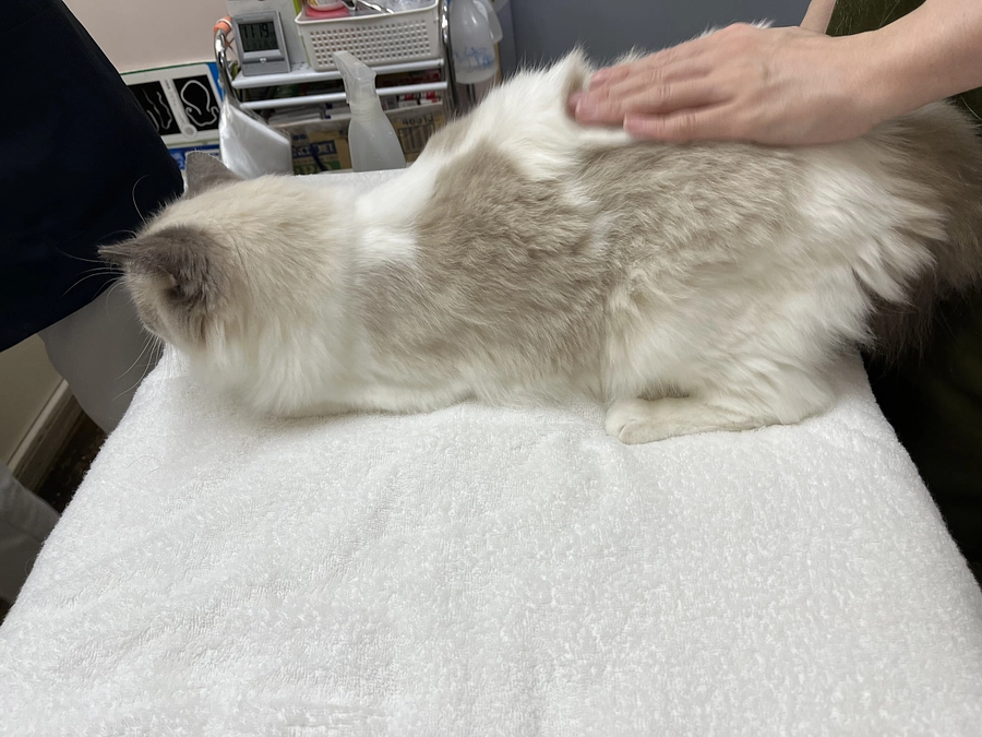 0713 定期検診行って来ました