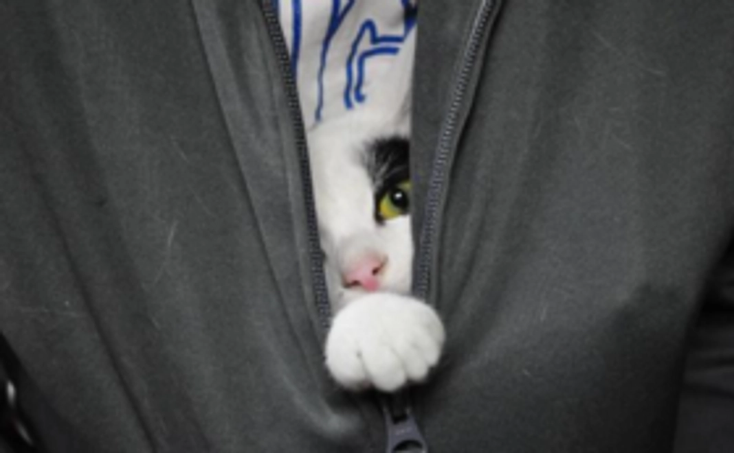 1万円｜見守りコース