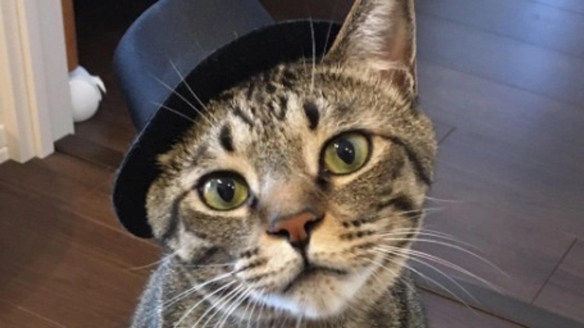 クラウドファンディングスタート！応援よろしくお願いいたします。