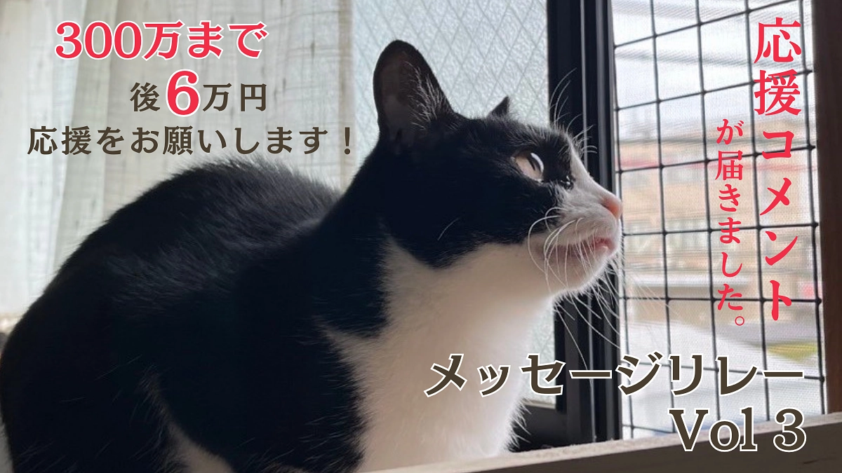 【メッセージリレーVol 4】はちえちゃんの里親になって下さったボランティア スタッフのTさんから。