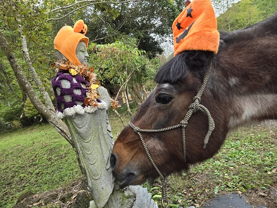 あと1時間！あと26万円！〜最後まで応援いただいている皆様、本当にありがとうございます！〜