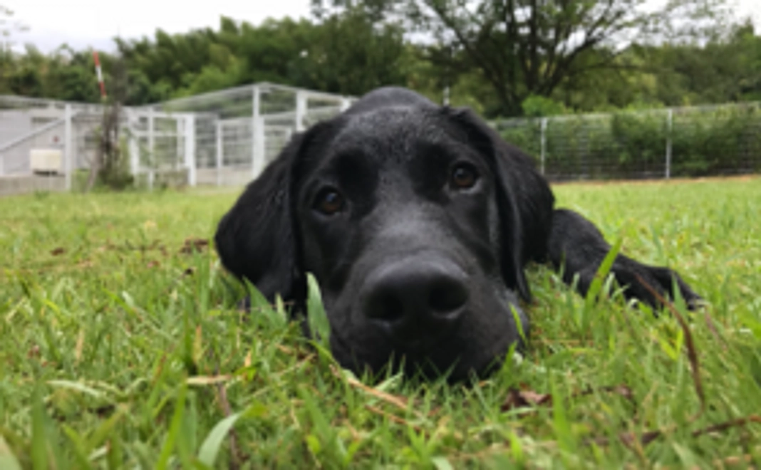 5千円支援コース