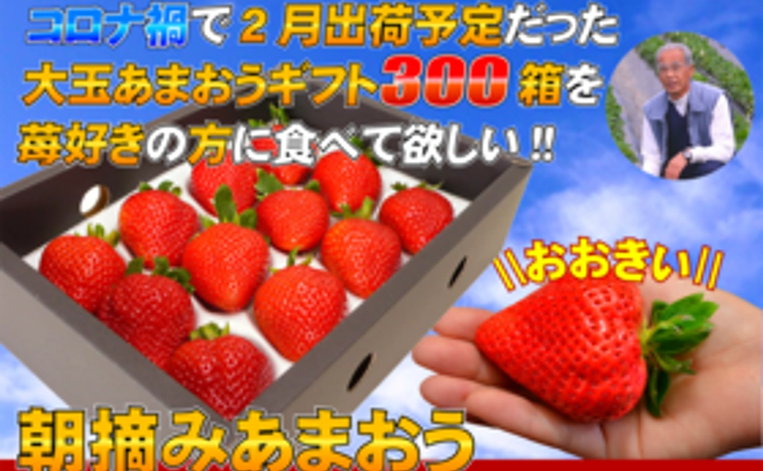 【おまけ付】コロナ禍で2月出荷予定だった大玉あまおうギフト３００箱を苺好きの方に食べて欲しい【3箱分の金額で1箱おまけ】