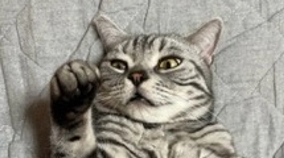 本日の銀時(投薬最終日)