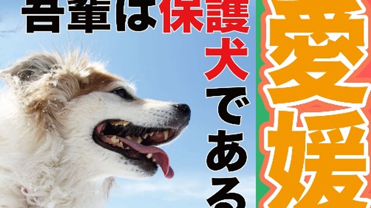 今度は愛媛、今治です！！