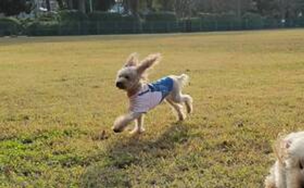 感謝を込めて　お礼メール