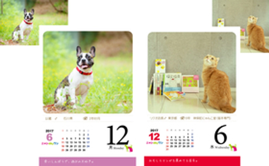 ◆ご支援全額を日めくりカレンダー制作資金に